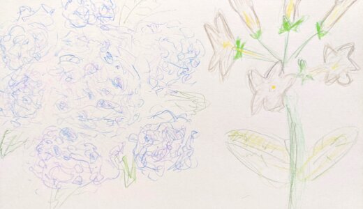 紫陽花とマダガスカルジャスミン