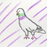 鳩の首は紫色